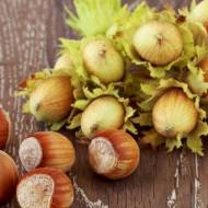 Саженец Фундук Каталонский